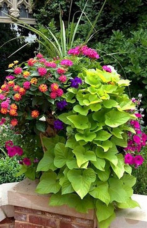 55 Fresh And Beautiful Summer Container Garden Flowers Ideas