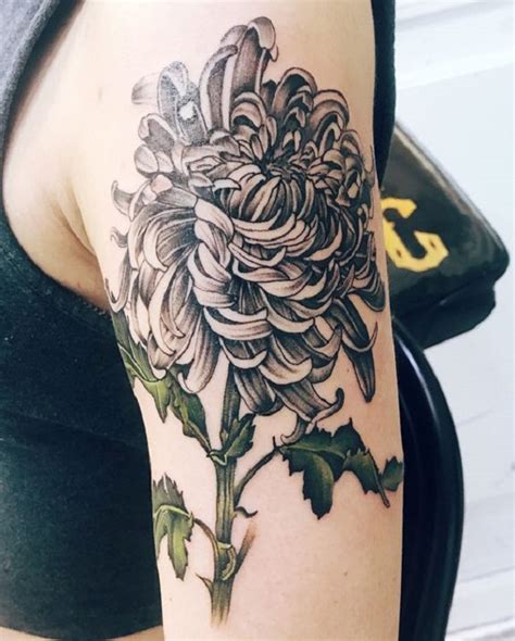 65 Chrysanthemum Tattoo Ideas Nenuno Creative