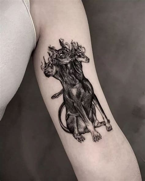 68 Best Cerberus Tattoo Images In 2020 Cerberus Tattoos Tattoo Designs