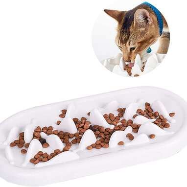 7 Best Cat Slow Feeders On Amazon Dodowell The Dodo