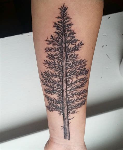 75 Simple And Easy Pine Tree Tattoo Designs Meanings 2019