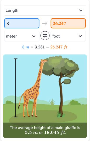 8.8 Meters to Feet Conversion Made Easy