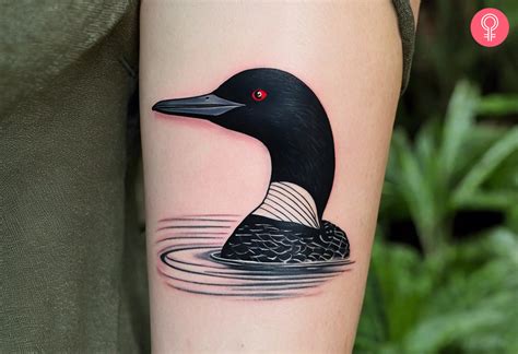 8 Captivating Loon Tattoo Designs And Ideas With Meanings