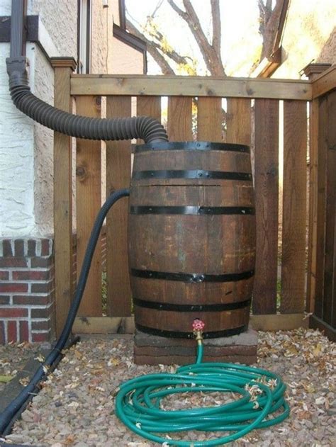 8 Easy Ways To Start Homesteading In 2020 Rain Barrel Rain Water