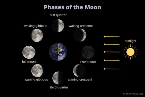 8 Lunar Phases Of The Moon In Order From New Moon To Full Moon To New