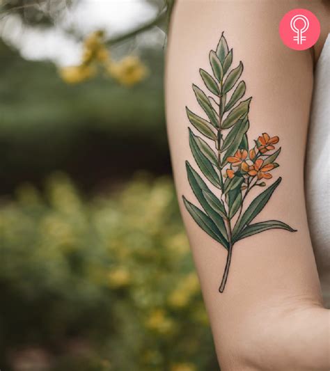 8 Meaningful Sage Tattoo Ideas With Meanings Paste Text Images Html