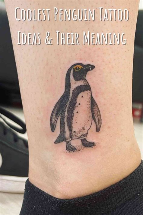 8 Penguin Tattoo Ideas Penguin Tattoo Penguins Penguin Drawing