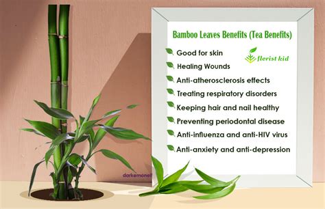 8 Surprising Benefits Of Bamboo Leaves Bamboo Tea Benefits