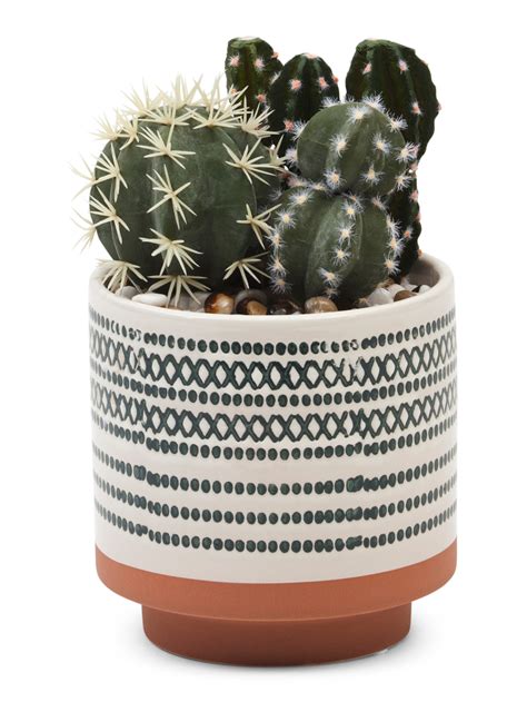 9 5In Faux Cactus In Terra Cotta Pot Insta Worthy T J Maxx Faux Cactus Terracotta Pots