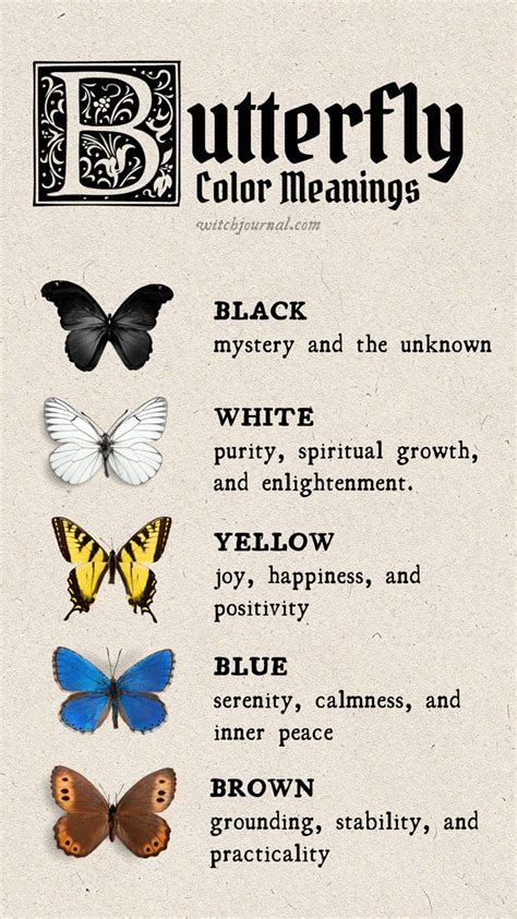 9 Butterfly Colors Meanings And Symbolism 2024 Colors Explained