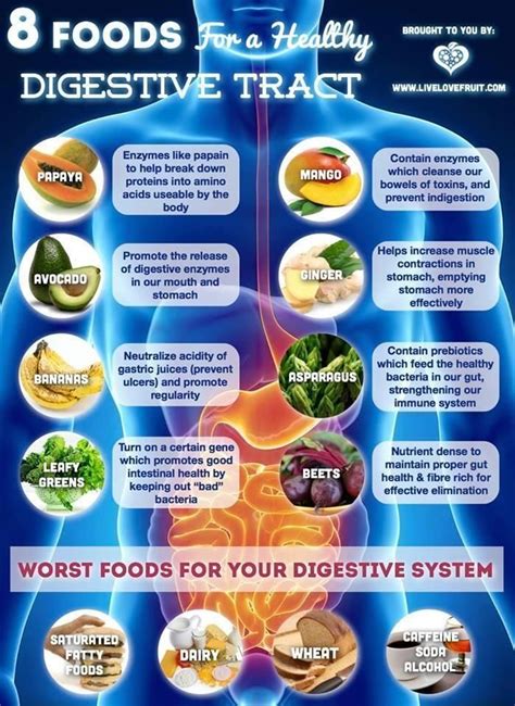 9 Digestive Health Recipes Ideas Digestive Health Digestive Health