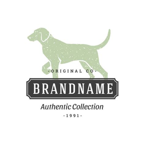 900 Dirty Dog White Stock Illustrations Royalty Free Vector Graphics