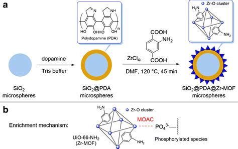 A Preparation Procedure Of Sio2 Pda Zr Mof Microspheres B Scheme Of