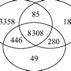 A Static Noise Margin Snm B Write Trip Point Wtp And C Sram Download Scientific