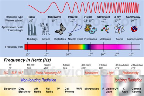 Absorption Of Rf Radiation In Relation To Dr Rife S Frequencies