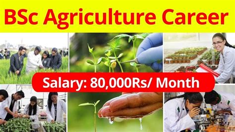 Agriculture Jobs with Salary: Top Opportunities