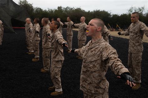 Unleashing Fury: The Air Force Battle Cry Unveiled