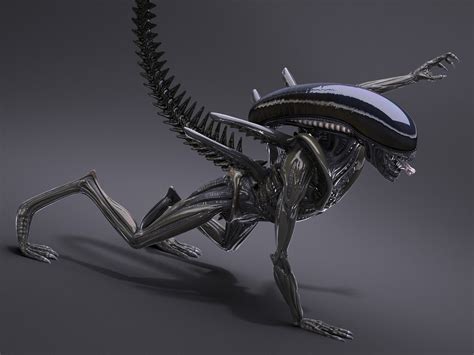 Alien Xenomorph Models: 3D Printed Replicas of the Deadly Creature