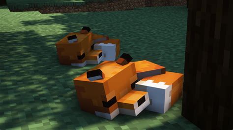 6 Minecraft Fox Variants