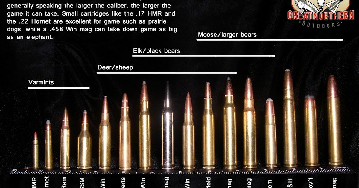 Ammo And Gun Collector An Excellent Game Hunting Cartridge Ammo Caliber Chart