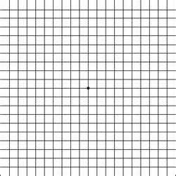 Amsler Grid Pdf Download