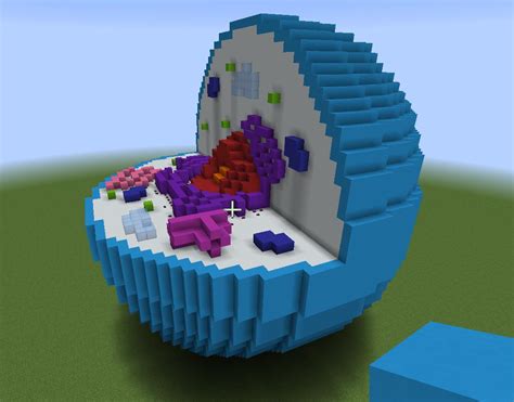 An Animal Cell Model That I Built For My Grade 8 Science Project R Minecraft