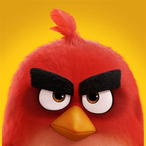 Angry Birds