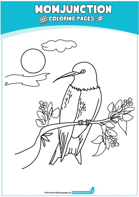 Animal Coloring Pages Momjunction