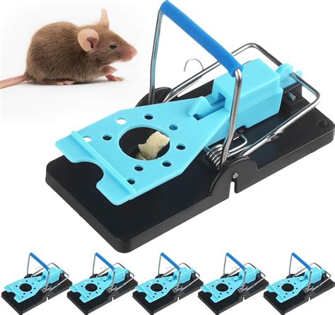 Animal Friendly Mouse Rat Trap Artofit