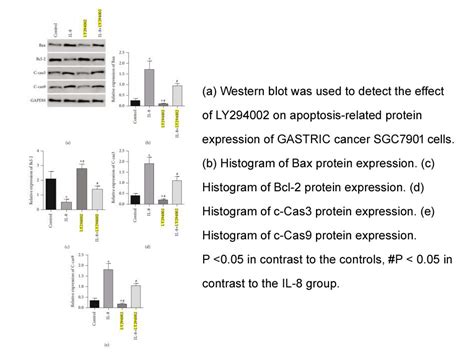 Apexbio Ly 294002 Potent Pi3k Inhibitor Cas 154447 36 6