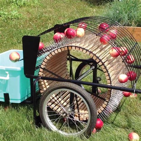 Apple Picker From Ground