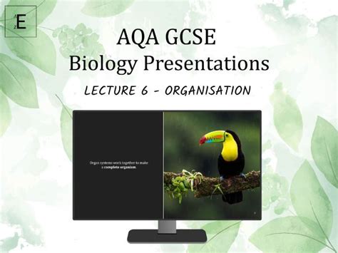 Aqa Gcse Biology Lecture 6 Organisation Teaching Resources