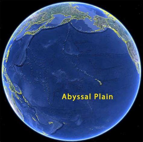 Argentine Abyssal Plain Discovery Uncovers Ocean's Deepest Secrets