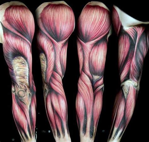 Arm Veins Anatomical Tattoos Anatomy Tattoo Arm Tattoo