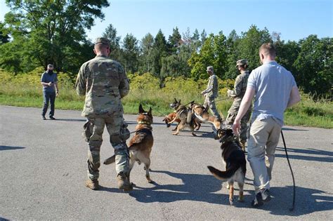 Army Dog Handlers And Their Military Working Dogs Start Nara Dvids