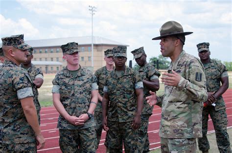 7 Key Differences Between Army and Marines Bootcamp