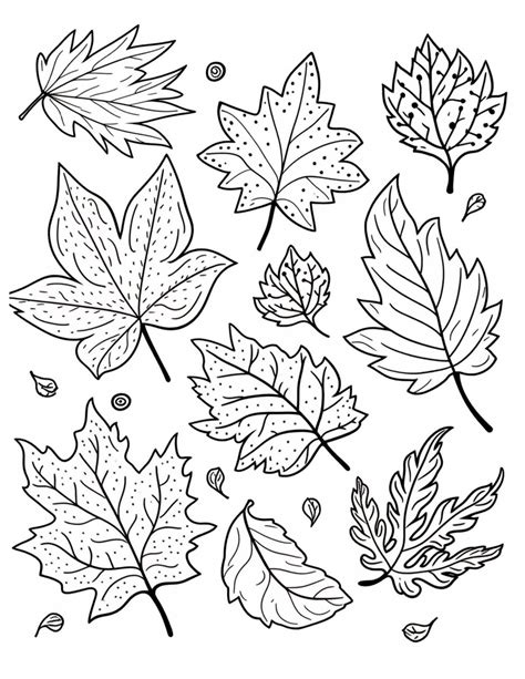 Autumn Leaves Coloring Page Fall Leaves