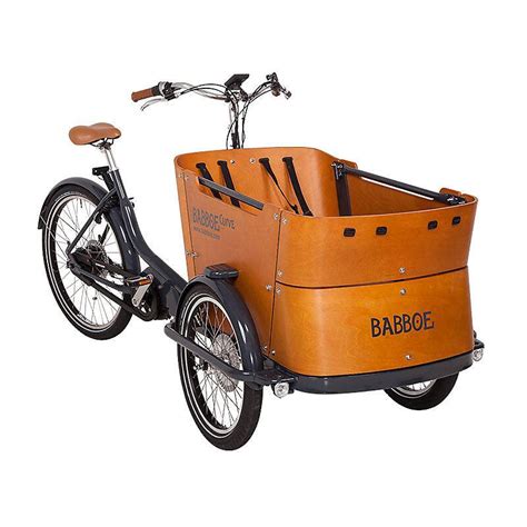 Babboe Curve Mountain 500Wh Hurum Sport As