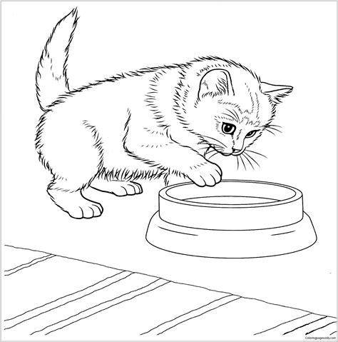 Baby Kitten Colouring Pages