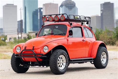 5 Fun Facts About Baja Beetle Bug