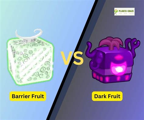 Barrier Vs Dark Fruits In Blox Fruits A Guide For Beginners