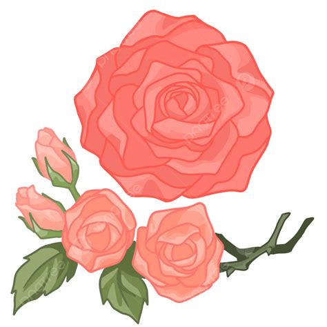 Drawing a Beautiful 2D Rose