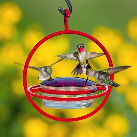 Bee Guards for Hummingbird Feeders Made Easy