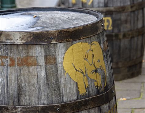 Beer Barrels Free Stock Photo Public Domain Pictures