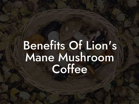 Benefits Of Lion S Mane Mushroom Coffee Mr Mushroom