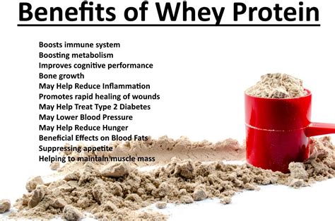 Benefits Of Whey Protein Isolate And Why It Is The Whey To Go