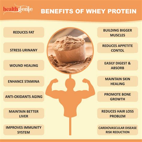 Benefits Of Whey Protein Powder