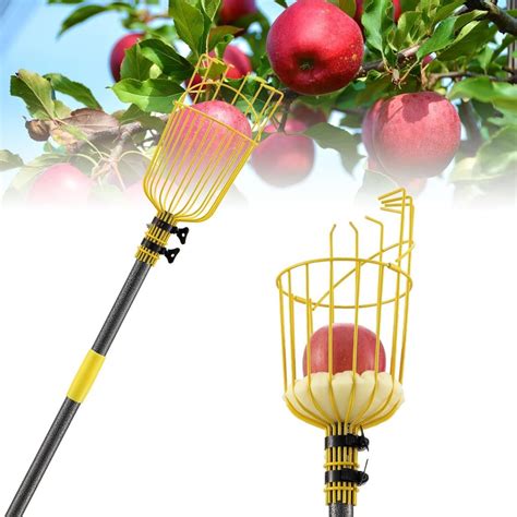 Best Apple Picker