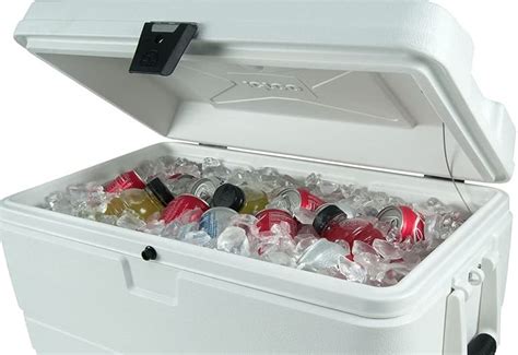 Best Igloo Coolers Review 2021 Top 9 Ranking Trustorereview