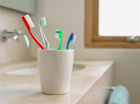 Best Toothbrush And Cup Holder For Your Oral Health